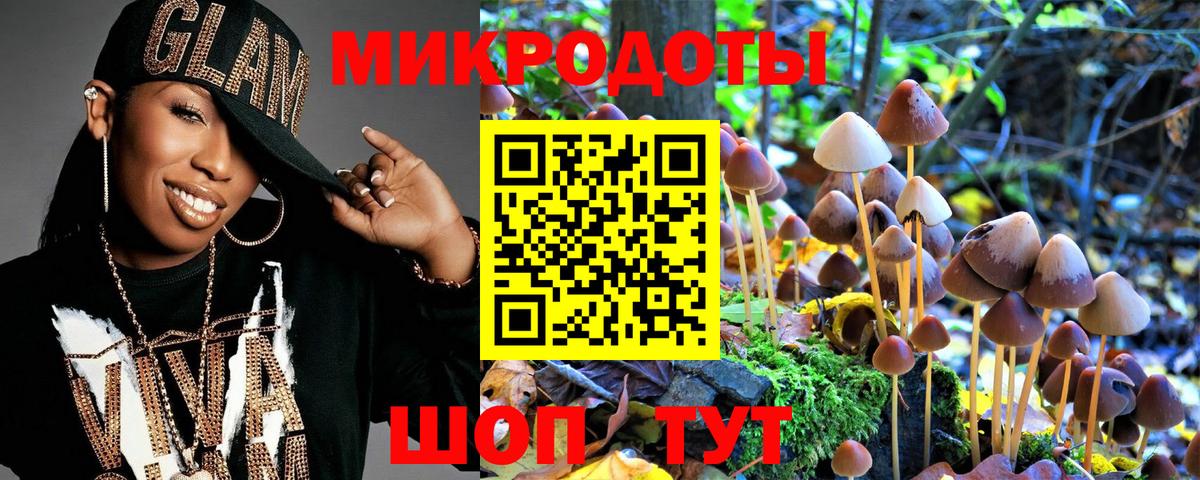 Алатырь  Псилоцибиновые грибы MAGIC MUSHROOMS  сколько стоит  Вход с VPN 